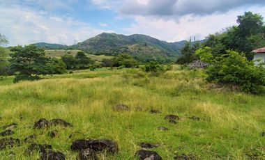 🌿 ¡OPORTUNIDAD ÚNICA! FINCA GANADERA EN VENTA – PIEDRAS, TOLIMA 🏡🐄