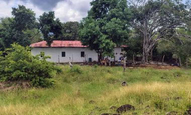 🌿 ¡OPORTUNIDAD ÚNICA! FINCA GANADERA EN VENTA – PIEDRAS, TOLIMA 🏡🐄