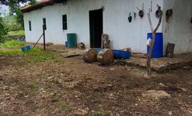 🌿 ¡OPORTUNIDAD ÚNICA! FINCA GANADERA EN VENTA – PIEDRAS, TOLIMA 🏡🐄