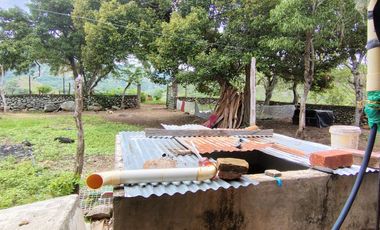🌿 ¡OPORTUNIDAD ÚNICA! FINCA GANADERA EN VENTA – PIEDRAS, TOLIMA 🏡🐄