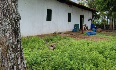 🌿 ¡OPORTUNIDAD ÚNICA! FINCA GANADERA EN VENTA – PIEDRAS, TOLIMA 🏡🐄