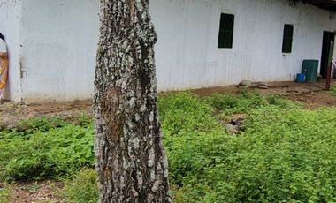🌿 ¡OPORTUNIDAD ÚNICA! FINCA GANADERA EN VENTA – PIEDRAS, TOLIMA 🏡🐄