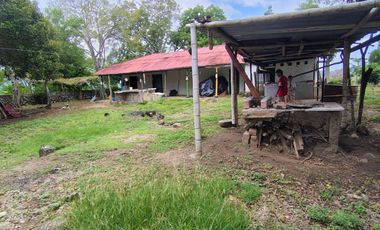 🌿 ¡OPORTUNIDAD ÚNICA! FINCA GANADERA EN VENTA – PIEDRAS, TOLIMA 🏡🐄