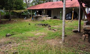 🌿 ¡OPORTUNIDAD ÚNICA! FINCA GANADERA EN VENTA – PIEDRAS, TOLIMA 🏡🐄