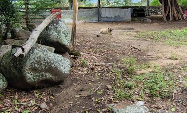 🌿 ¡OPORTUNIDAD ÚNICA! FINCA GANADERA EN VENTA – PIEDRAS, TOLIMA 🏡🐄