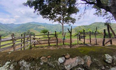 🌿 ¡OPORTUNIDAD ÚNICA! FINCA GANADERA EN VENTA – PIEDRAS, TOLIMA 🏡🐄