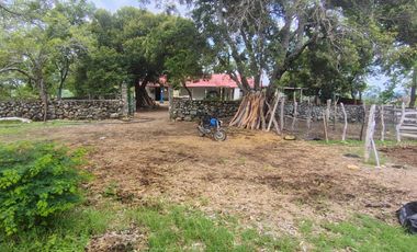 🌿 ¡OPORTUNIDAD ÚNICA! FINCA GANADERA EN VENTA – PIEDRAS, TOLIMA 🏡🐄
