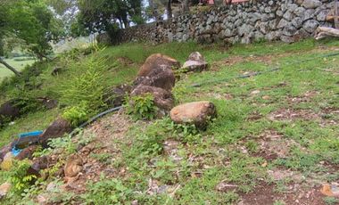🌿 ¡OPORTUNIDAD ÚNICA! FINCA GANADERA EN VENTA – PIEDRAS, TOLIMA 🏡🐄