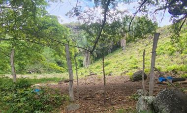 🌿 ¡OPORTUNIDAD ÚNICA! FINCA GANADERA EN VENTA – PIEDRAS, TOLIMA 🏡🐄