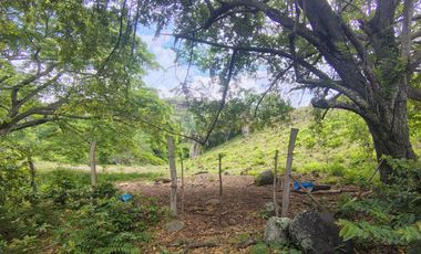 🌿 ¡OPORTUNIDAD ÚNICA! FINCA GANADERA EN VENTA – PIEDRAS, TOLIMA 🏡🐄