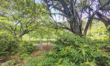 🌿 ¡OPORTUNIDAD ÚNICA! FINCA GANADERA EN VENTA – PIEDRAS, TOLIMA 🏡🐄