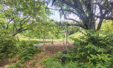 🌿 ¡OPORTUNIDAD ÚNICA! FINCA GANADERA EN VENTA – PIEDRAS, TOLIMA 🏡🐄
