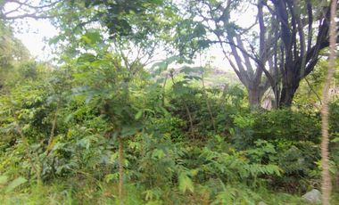 🌿 ¡OPORTUNIDAD ÚNICA! FINCA GANADERA EN VENTA – PIEDRAS, TOLIMA 🏡🐄