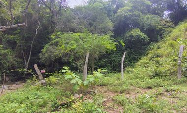 🌿 ¡OPORTUNIDAD ÚNICA! FINCA GANADERA EN VENTA – PIEDRAS, TOLIMA 🏡🐄
