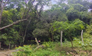 🌿 ¡OPORTUNIDAD ÚNICA! FINCA GANADERA EN VENTA – PIEDRAS, TOLIMA 🏡🐄