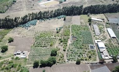 TERRENO EN SANTA TERESITA HUACHI GRANDE