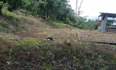 VENDO LOTE VEREDA SAN JAVIER,LA MESA CUNDINAMARCA