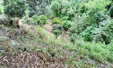 VENDO LOTE VEREDA SAN JAVIER,LA MESA CUNDINAMARCA