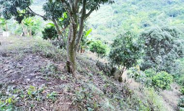 VENDO LOTE VEREDA SAN JAVIER,LA MESA CUNDINAMARCA