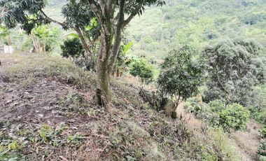 VENDO LOTE VEREDA SAN JAVIER,LA MESA CUNDINAMARCA