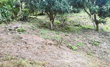 VENDO LOTE VEREDA SAN JAVIER,LA MESA CUNDINAMARCA