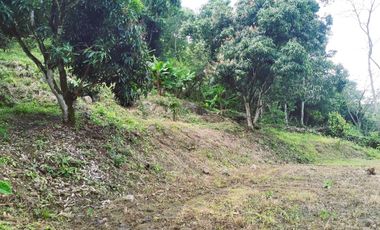 VENDO LOTE VEREDA SAN JAVIER,LA MESA CUNDINAMARCA