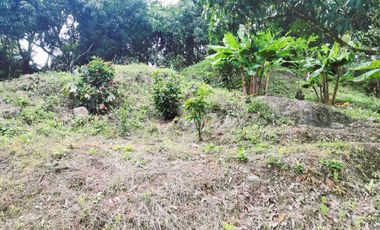 VENDO LOTE VEREDA SAN JAVIER,LA MESA CUNDINAMARCA