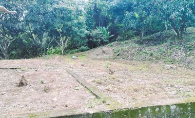 VENDO LOTE VEREDA SAN JAVIER,LA MESA CUNDINAMARCA