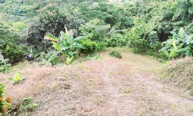 VENDO LOTE VEREDA SAN JAVIER,LA MESA CUNDINAMARCA