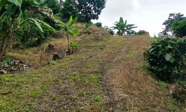 VENDO LOTE VEREDA SAN JAVIER,LA MESA CUNDINAMARCA