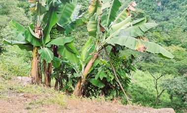 VENDO LOTE VEREDA SAN JAVIER,LA MESA CUNDINAMARCA