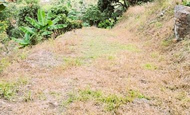 VENDO LOTE VEREDA SAN JAVIER,LA MESA CUNDINAMARCA