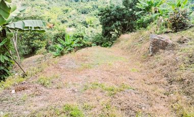 VENDO LOTE VEREDA SAN JAVIER,LA MESA CUNDINAMARCA