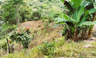 VENDO LOTE VEREDA SAN JAVIER,LA MESA CUNDINAMARCA