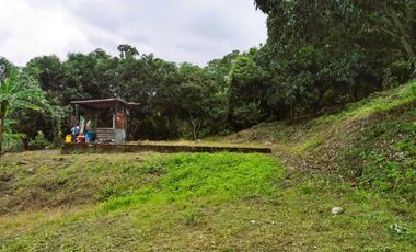 VENDO LOTE VEREDA SAN JAVIER,LA MESA CUNDINAMARCA