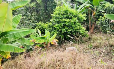 VENDO LOTE VEREDA SAN JAVIER,LA MESA CUNDINAMARCA
