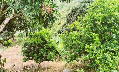 VENDO LOTE VEREDA SAN JAVIER,LA MESA CUNDINAMARCA