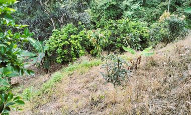 VENDO LOTE VEREDA SAN JAVIER,LA MESA CUNDINAMARCA