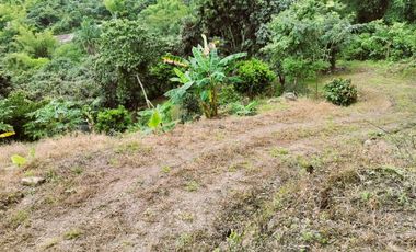 VENDO LOTE VEREDA SAN JAVIER,LA MESA CUNDINAMARCA
