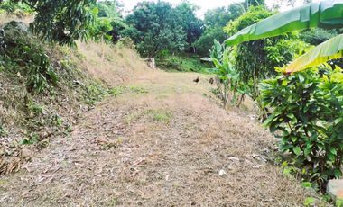 VENDO LOTE VEREDA SAN JAVIER,LA MESA CUNDINAMARCA