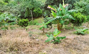 VENDO LOTE VEREDA SAN JAVIER,LA MESA CUNDINAMARCA