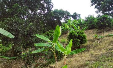 VENDO LOTE VEREDA SAN JAVIER,LA MESA CUNDINAMARCA