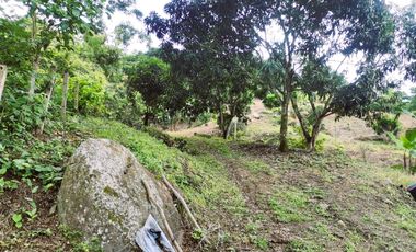 VENDO LOTE VEREDA SAN JAVIER,LA MESA CUNDINAMARCA
