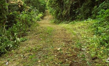 VENDO LOTE VEREDA SAN JAVIER,LA MESA CUNDINAMARCA
