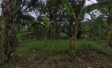 Jual Murah Tanah Darat Siap Bangun Pinggir Jalan Raya Nasional Padalarang Cipatat