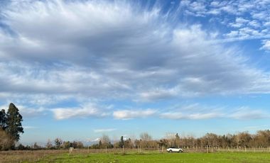 VENDO HERMOSA PARCELA DE 5.000 M2 EN COMUNA DE VILLA ALEGRE, TOTALMENTE SANEADA Y MUY CERCANA A CARRETERA 5 SUR