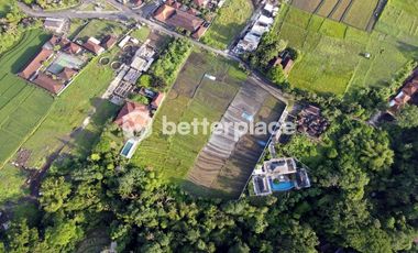 Exclusive Leasehold 4200 sqm Land in Buwit, Tabanan – Perfect for Luxury Villas or Boutique Development