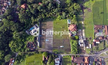 Exclusive Leasehold 4200 sqm Land in Buwit, Tabanan – Perfect for Luxury Villas or Boutique Development