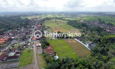 Exclusive Leasehold 4200 sqm Land in Buwit, Tabanan – Perfect for Luxury Villas or Boutique Development