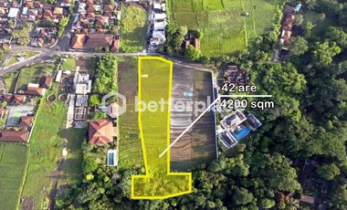 Exclusive Leasehold 4200 sqm Land in Buwit, Tabanan – Perfect for Luxury Villas or Boutique Development